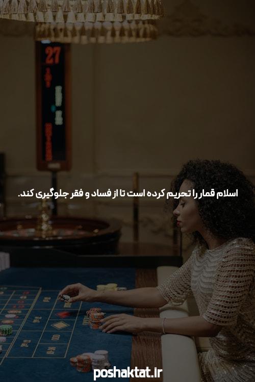 آشنایی با سایت halfbet شرط بندی: تجربهای متفاوت در دنیای شرط بندی آنلاین