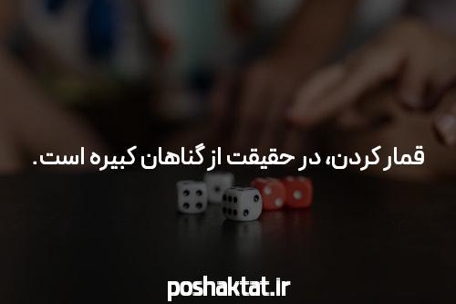 بیوگرافی ساشا سبحانی آقا زاده پر حاشیه و مدیر سایت شرط بندی